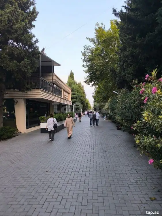 1 750 AZN - 2 otaqlı mənzil Kirayə (aylıq), Nərimanov, Bakı