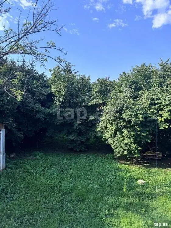 250 AZN - 2 otaqlı mənzil Kirayə (aylıq), Zaqatala