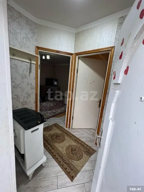 300 AZN - 2 otaqlı mənzil Kirayə (aylıq), Gəncə