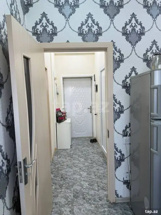 300 AZN - 1 otaqlı mənzil Kirayə (aylıq), Zaqatala
