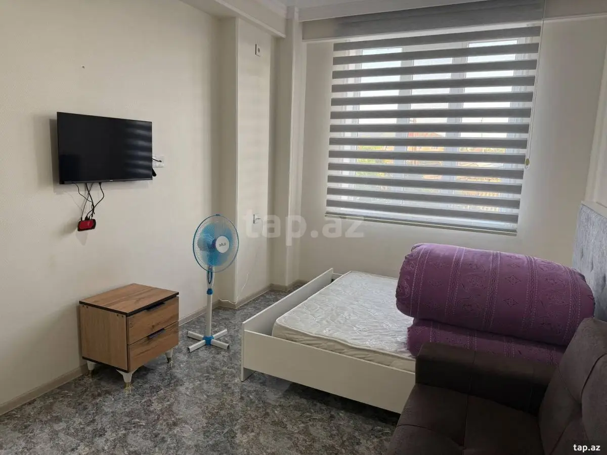 300 AZN - 1 otaqlı mənzil Kirayə (aylıq), Zaqatala