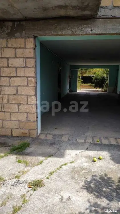 290 AZN - 3 otaqlı mənzil Kirayə (aylıq), Zaqatala