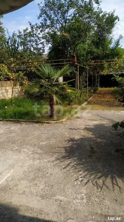 290 AZN - 3 otaqlı mənzil Kirayə (aylıq), Zaqatala