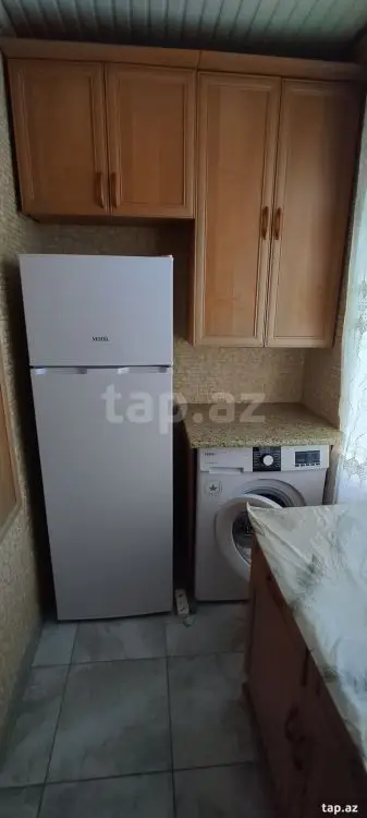 250 AZN - 1 otaqlı mənzil Kirayə (aylıq), Zaqatala
