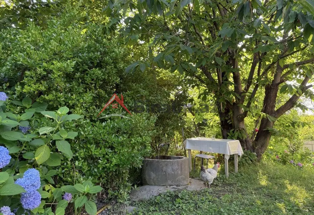 60 AZN - 2 otaqlı mənzil Kirayə (aylıq), Zaqatala