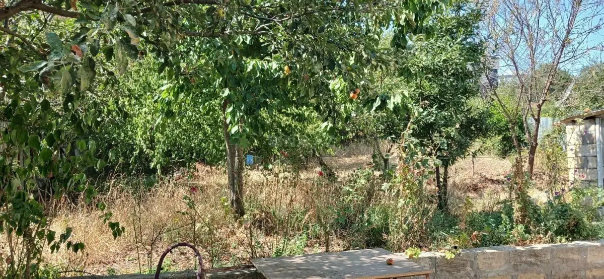 500 AZN - 8 otaqlı mənzil Kirayə (aylıq), Şamaxı