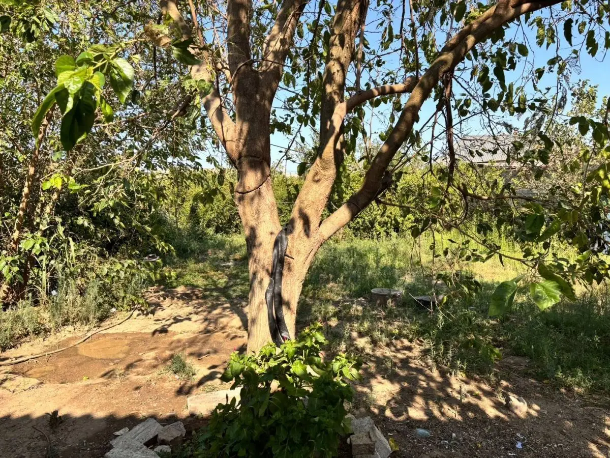 120 000 AZN - 5 otaqlı mənzil Satılır, Digah, Abşeron