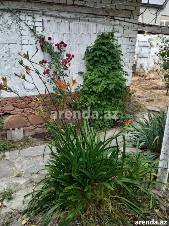 70 000 AZN - 3 otaqlı mənzil Satılır, Xızı
