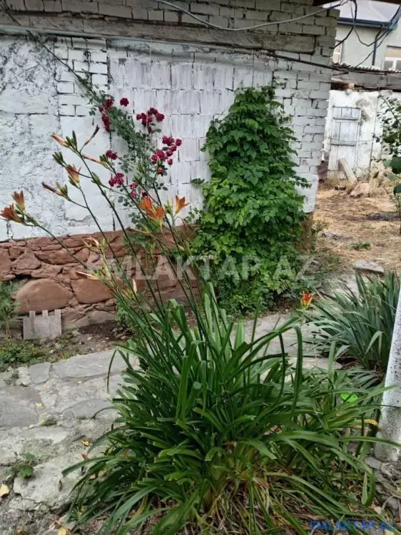 70 000 AZN - 3 otaqlı mənzil Satılır, Xızı