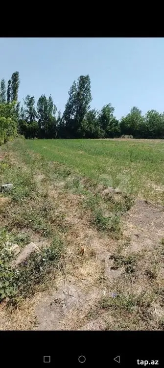 16 500 AZN - 0 m² Obyekt / Ofis , Yevlax