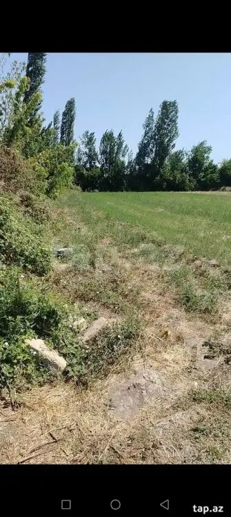16 500 AZN - 0 m² Obyekt / Ofis , Yevlax