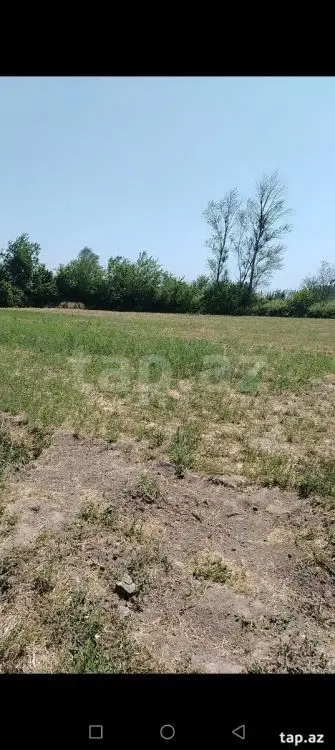 16 500 AZN - 0 m² Obyekt / Ofis , Yevlax