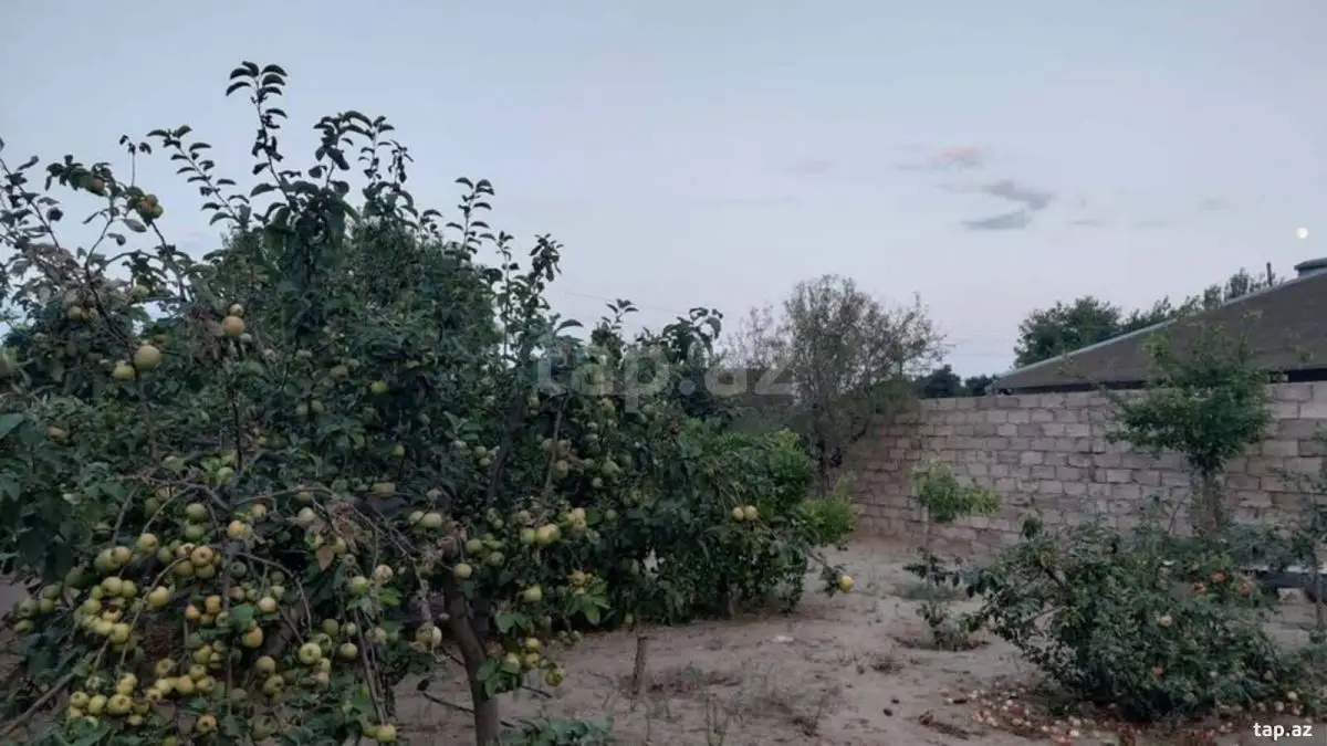 67 000 AZN - 0 m² Obyekt / Ofis, Bilgəh qəs., Sabunçu, Bakı