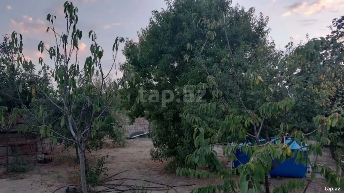 67 000 AZN - 0 m² Obyekt / Ofis, Bilgəh qəs., Sabunçu, Bakı