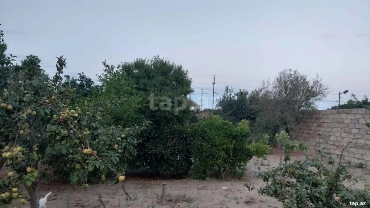 67 000 AZN - 0 m² Obyekt / Ofis, Bilgəh qəs., Sabunçu, Bakı