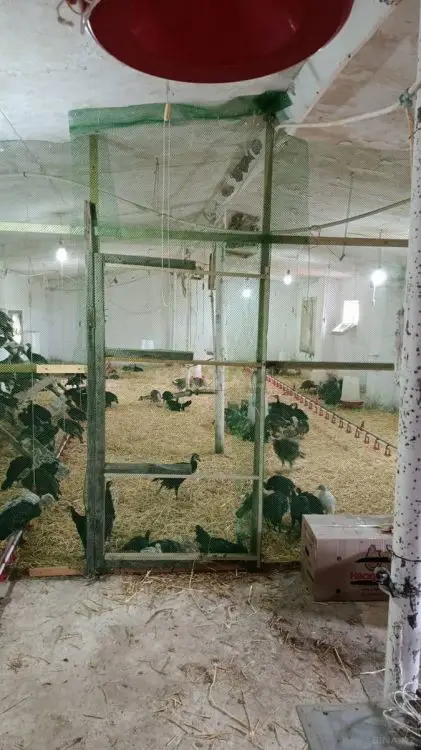 60 000 AZN - 1200 m² Obyekt / Ofis Satılır, Siyəzən