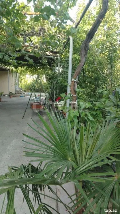 100 AZN - 4 otaqlı mənzil Kirayə (aylıq), Şamaxı