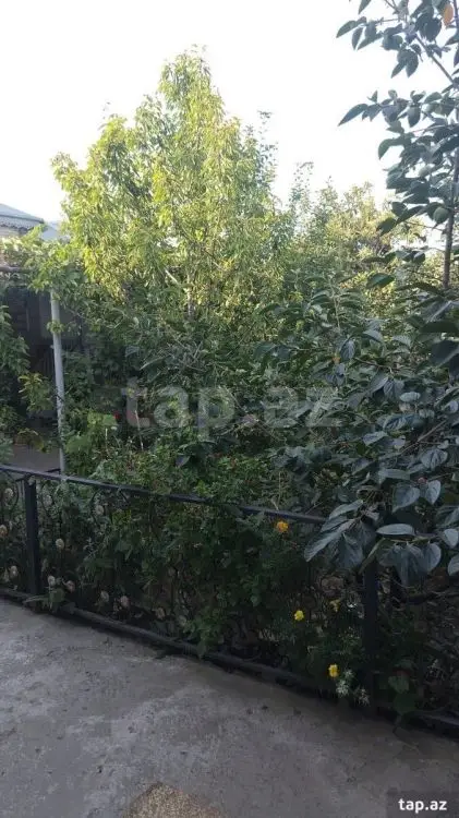 100 AZN - 4 otaqlı mənzil Kirayə (aylıq), Şamaxı