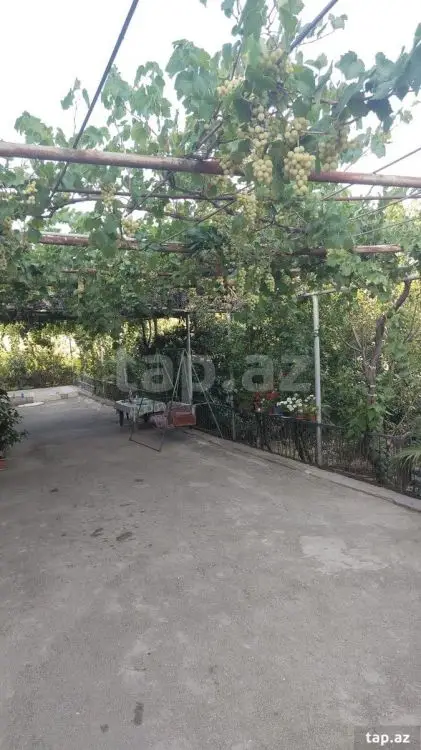 100 AZN - 4 otaqlı mənzil Kirayə (aylıq), Şamaxı