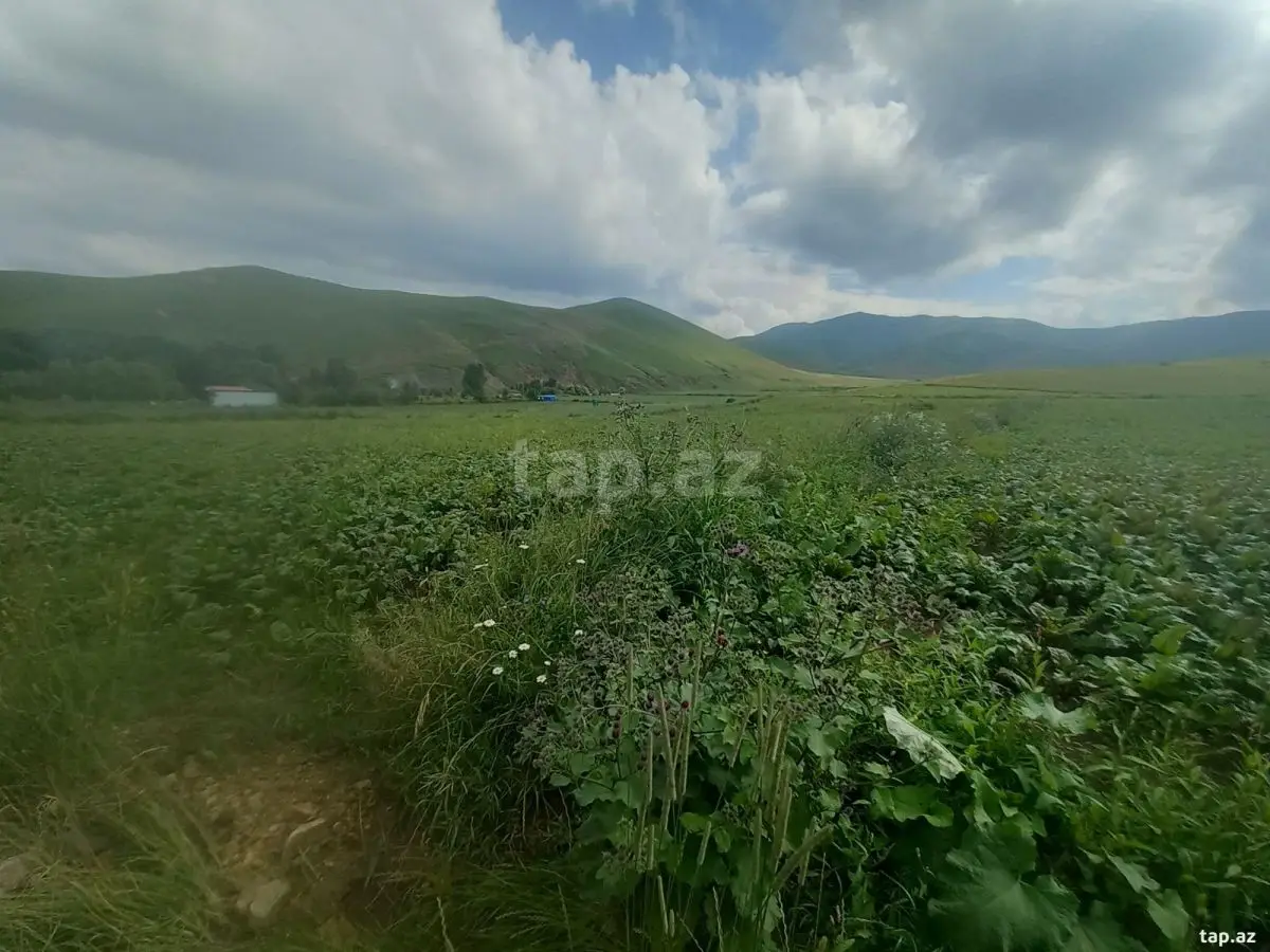 26 000 AZN - 0 m² Obyekt / Ofis , Gədəbəy