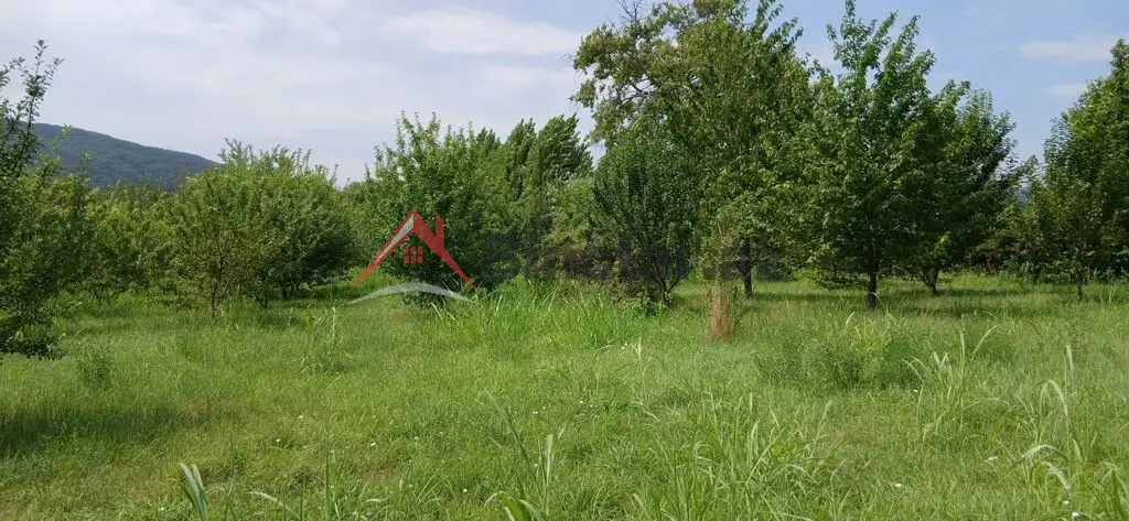 10 sot, Tikinti, Mülkiyyətçi, Kupça (Çıxarış)