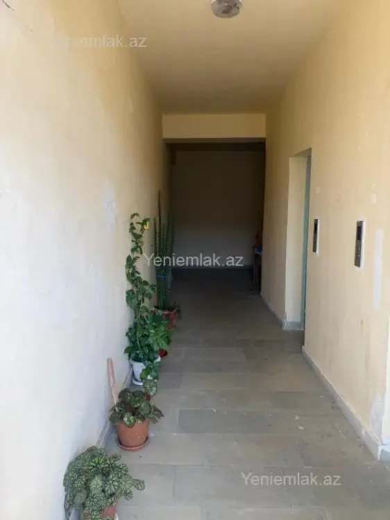 49 000 AZN - 2 otaqlı mənzil Satılır, Saray, Abşeron