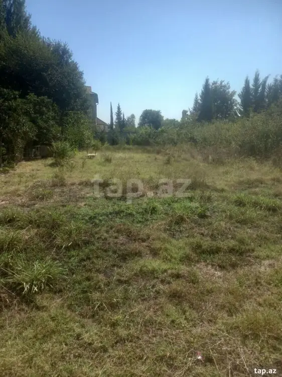 15 000 AZN - 0 m² Obyekt / Ofis , Masallı