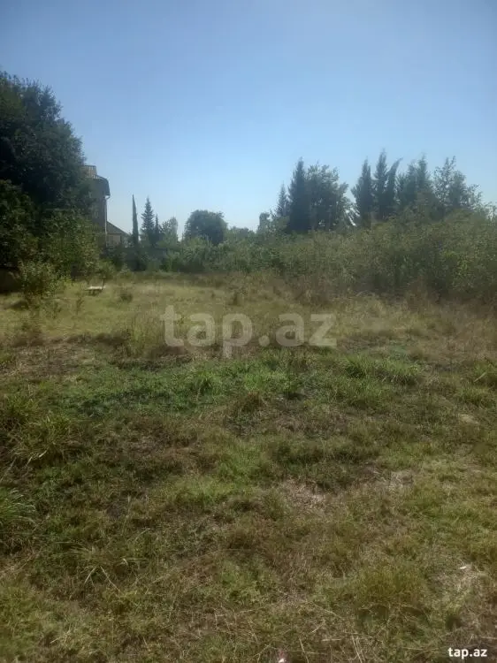 15 000 AZN - 0 m² Obyekt / Ofis , Masallı