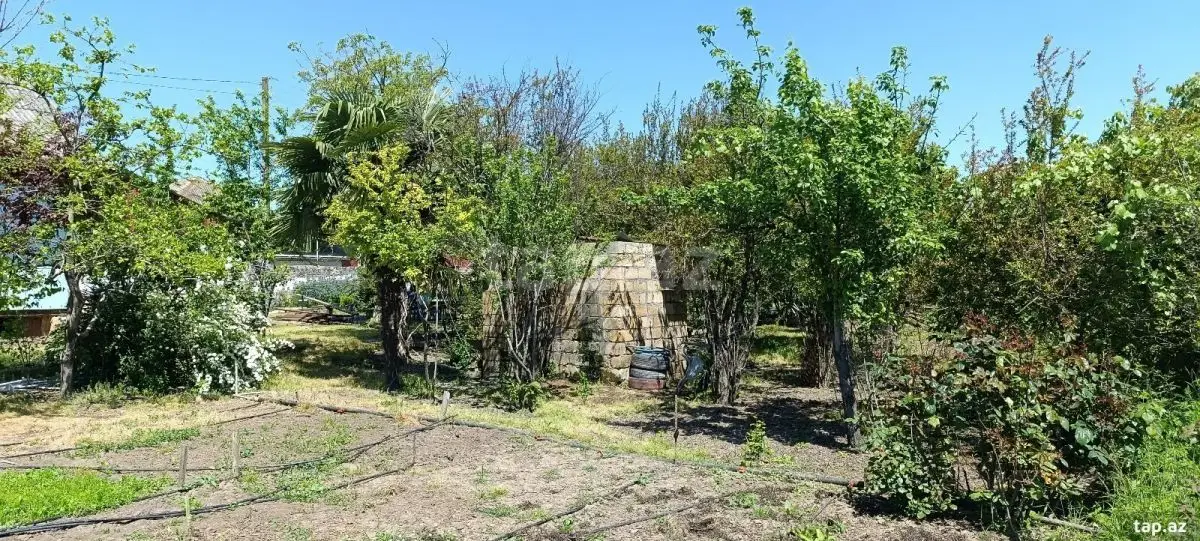 48 000 AZN - 3 otaqlı mənzil , Cəlilabad