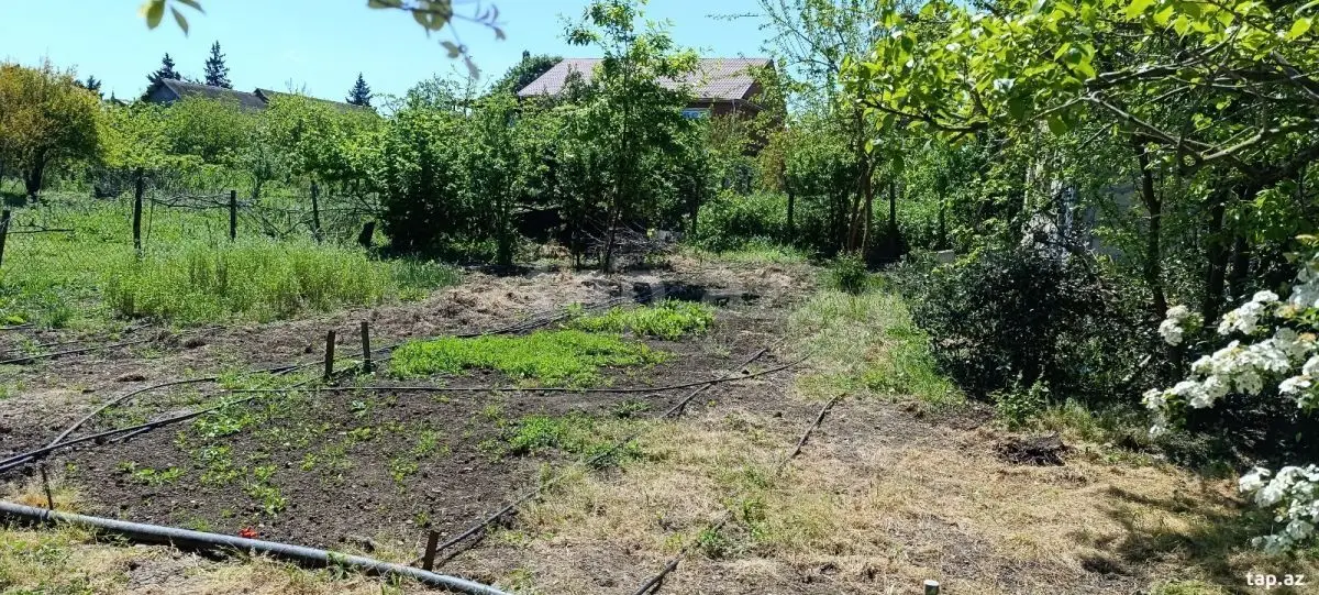 48 000 AZN - 3 otaqlı mənzil , Cəlilabad