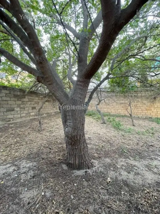 114 900 AZN - 3 otaqlı mənzil Satılır, Novxanı, Abşeron