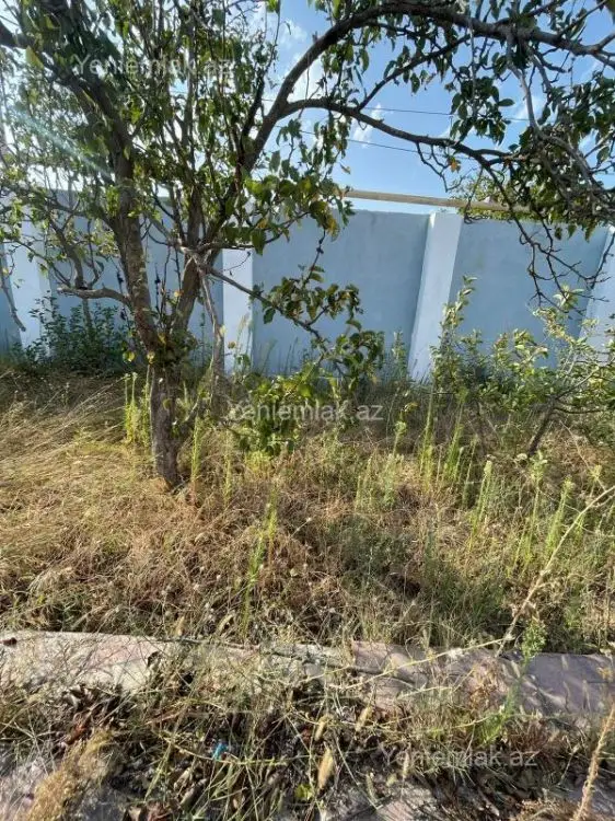 25 000 AZN - 4.5 sot Torpaq Satılır, Novxanı, Abşeron