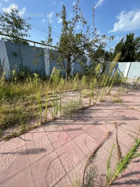 25 000 AZN - 4.5 sot Torpaq Satılır, Novxanı, Abşeron
