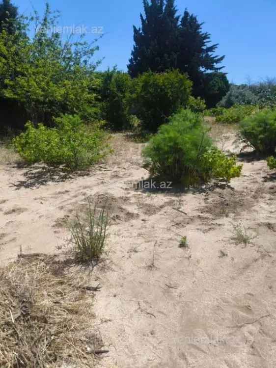10 500 AZN - 3 sot Torpaq Satılır, Novxanı, Abşeron