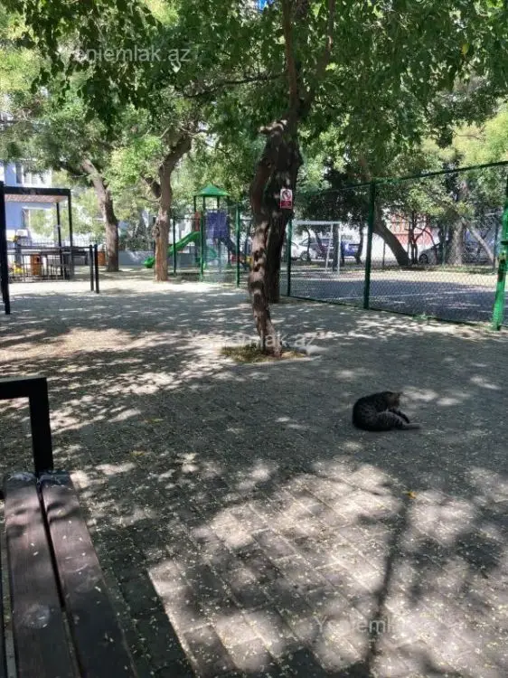 245 000 AZN - 3 otaqlı mənzil Satılır, Nəsimi, Bakı