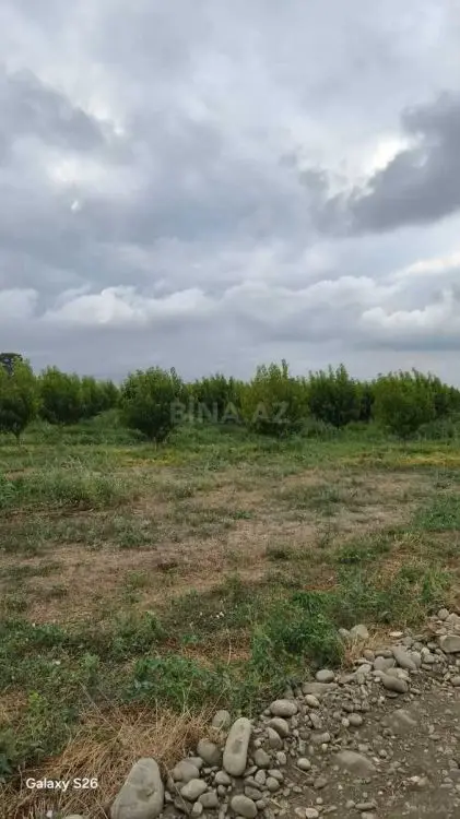 800 000 AZN - 2500 sot Torpaq Satılır, Qusar
