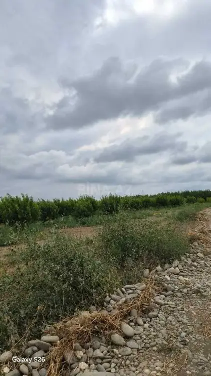 800 000 AZN - 2500 sot Torpaq Satılır, Qusar