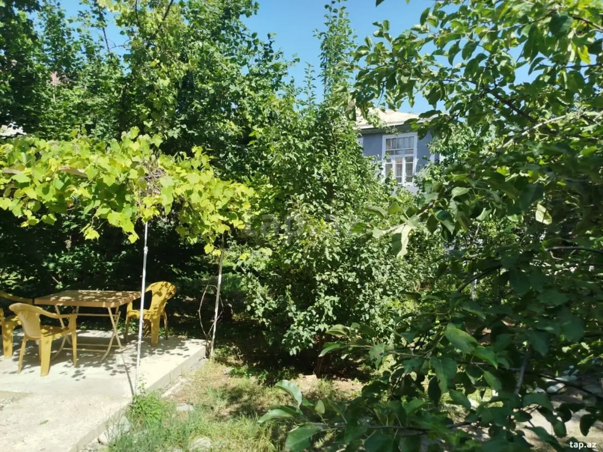 500 AZN - 3 otaqlı mənzil Kirayə (aylıq), Qusar