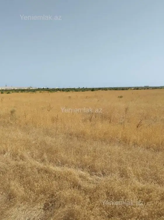 50 000 AZN - 500 sot Torpaq Satılır, Xızı