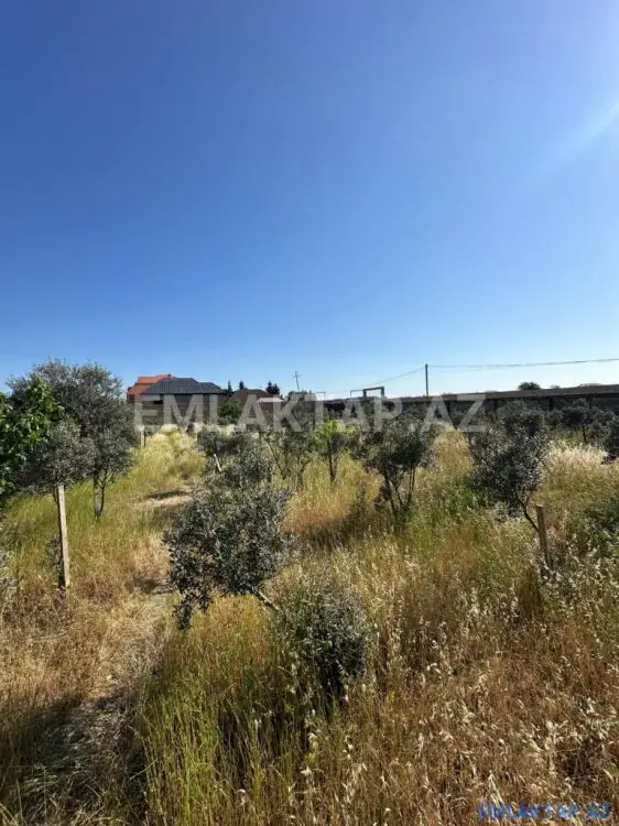 1 125 000 AZN - 50 sot Torpaq Satılır, Buzovna, Xəzər, Bakı