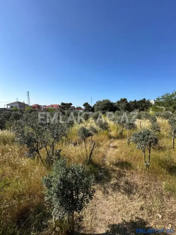 1 125 000 AZN - 50 sot Torpaq Satılır, Buzovna, Xəzər, Bakı