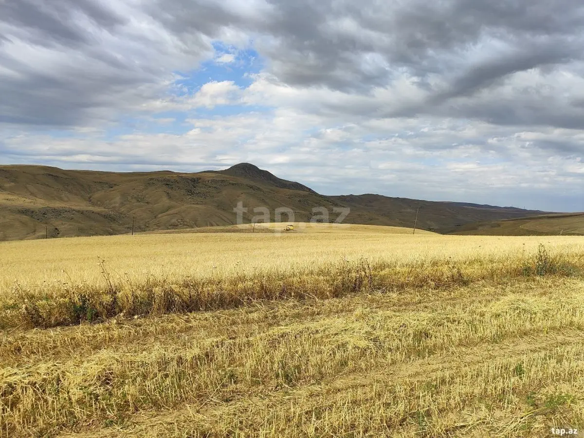 95 000 AZN - 0 m² Obyekt / Ofis , Qobustan