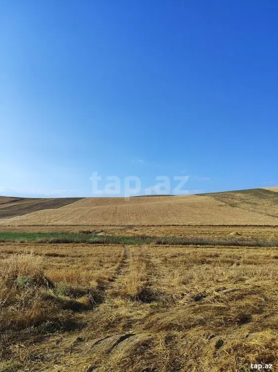 95 000 AZN - 0 m² Obyekt / Ofis , Qobustan