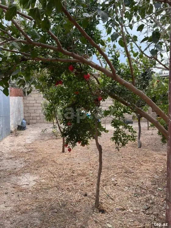 180 AZN - 1 otaqlı mənzil Kirayə (aylıq), Hövsan qəs., Suraxanı, Bakı