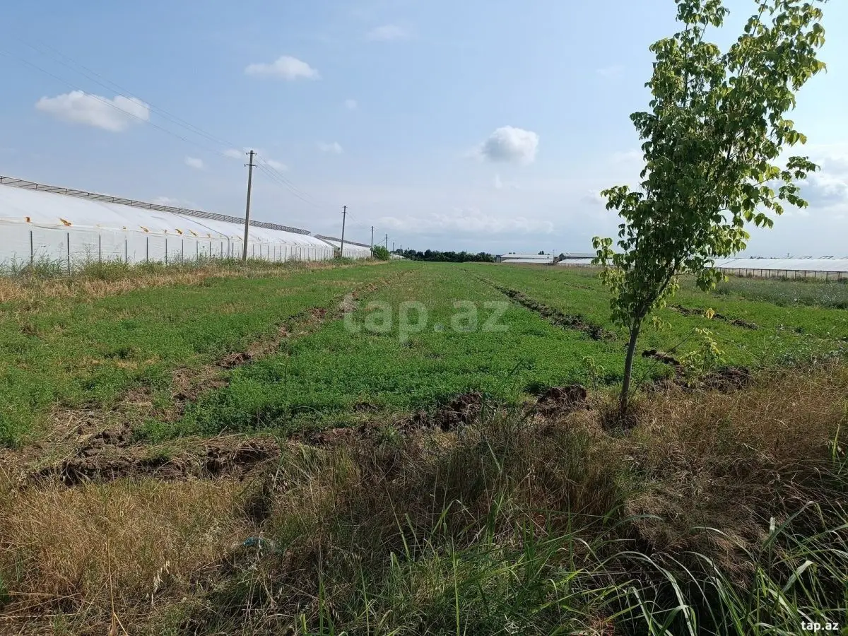 60 000 AZN - 0 m² Obyekt / Ofis , Şəmkir