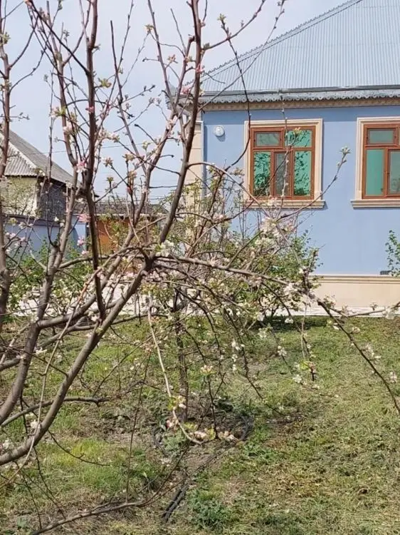 700 AZN - 4 otaqlı mənzil Kirayə (aylıq), Qəbələ