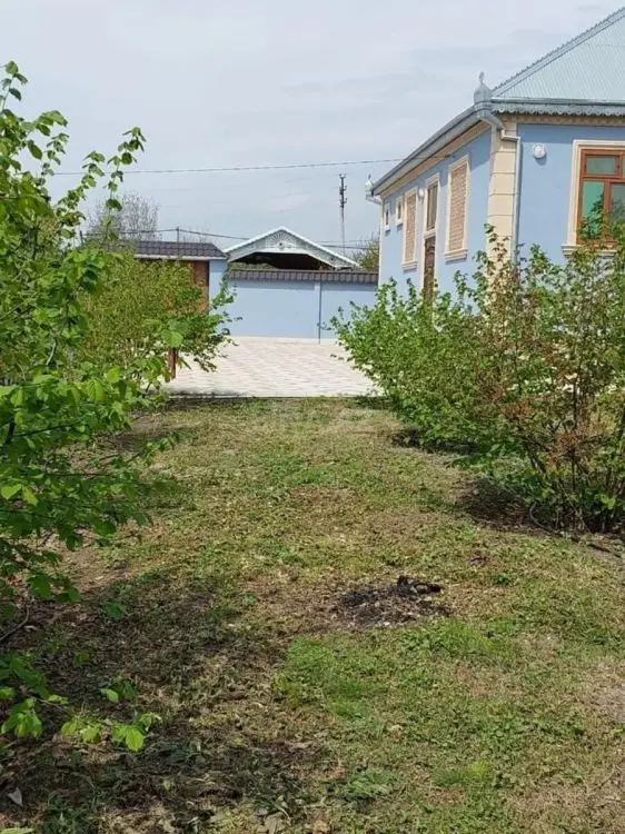 700 AZN - 4 otaqlı mənzil Kirayə (aylıq), Qəbələ