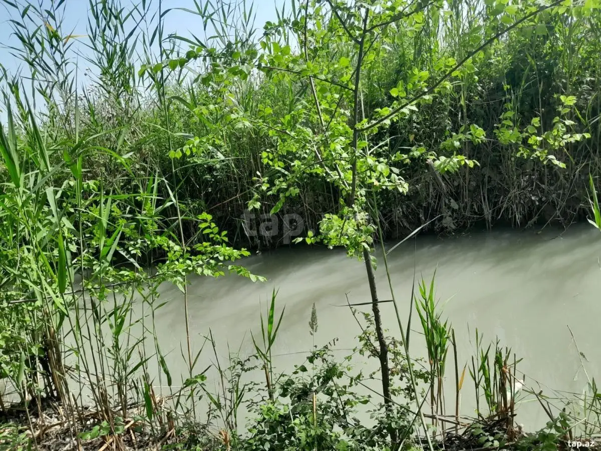 350 000 AZN - 0 m² Obyekt / Ofis , Kürdəmir