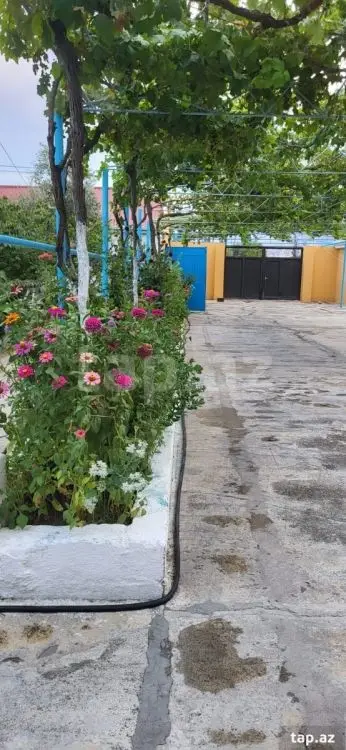 80 000 AZN - 5 otaqlı mənzil , Siyəzən