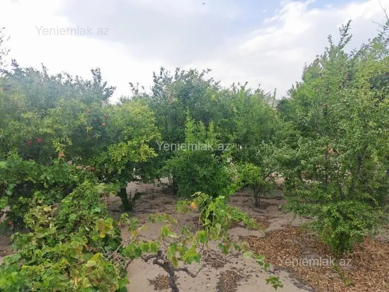 31 500 AZN - 3 sot Torpaq Satılır, Novxanı, Abşeron